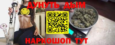 дмт Новодвинск