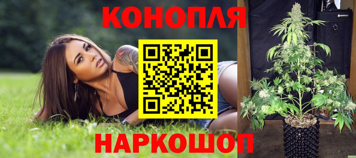 Бошки Шишки конопля Сызрань